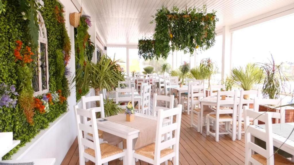 Mamaia Fratelli Summerland Εξωτερικό φωτογραφία